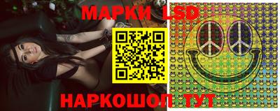 гидропоника Гатчина