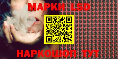 гидропоника Гатчина