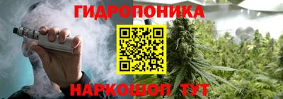 кокс Гагарин