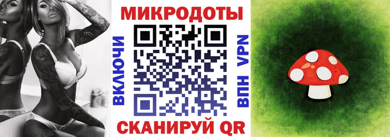 гидра ТОР  Назрань  Галлюциногенные грибы мицелий  это Telegram  цены наркотик 