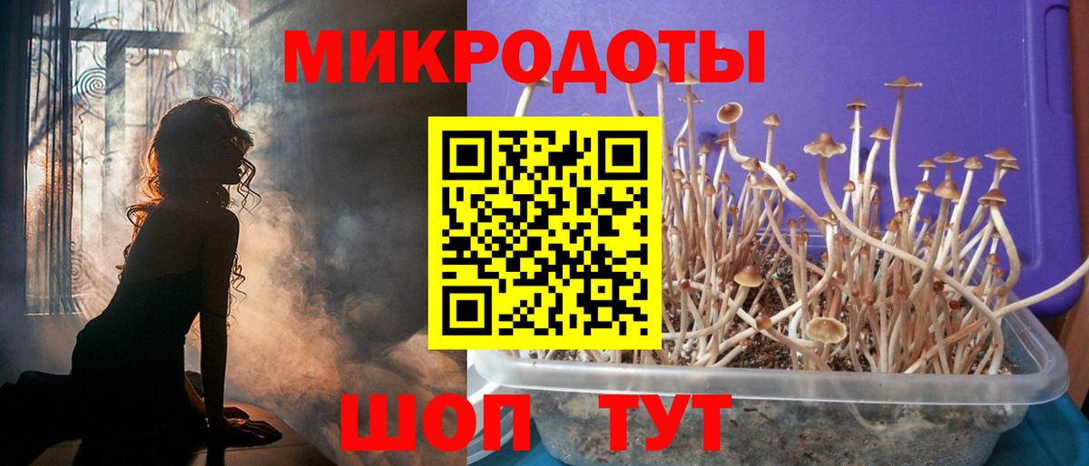 Псилоцибиновые грибы GOLDEN TEACHER  Вход с VPN  Назрань 