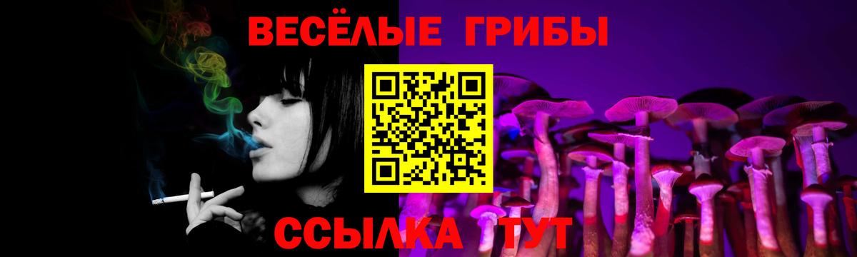 Псилоцибиновые грибы Psilocybine cubensis Назрань