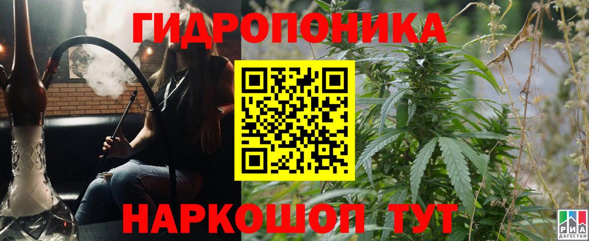 Каннабис индика Назрань