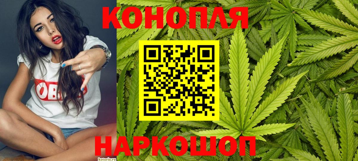 Бошки марихуана OG Kush  Бошки Шишки тримм  Назрань  Конопля VHQ  Вход с VPN 